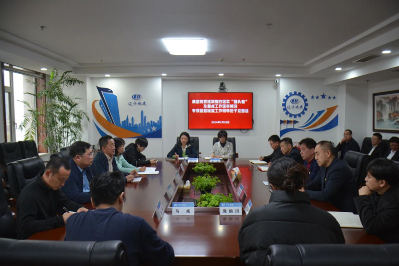 集團(tuán)黨委第二巡察組對公司開展巡察整改“回頭看”和重點工作專項監(jiān)督檢查