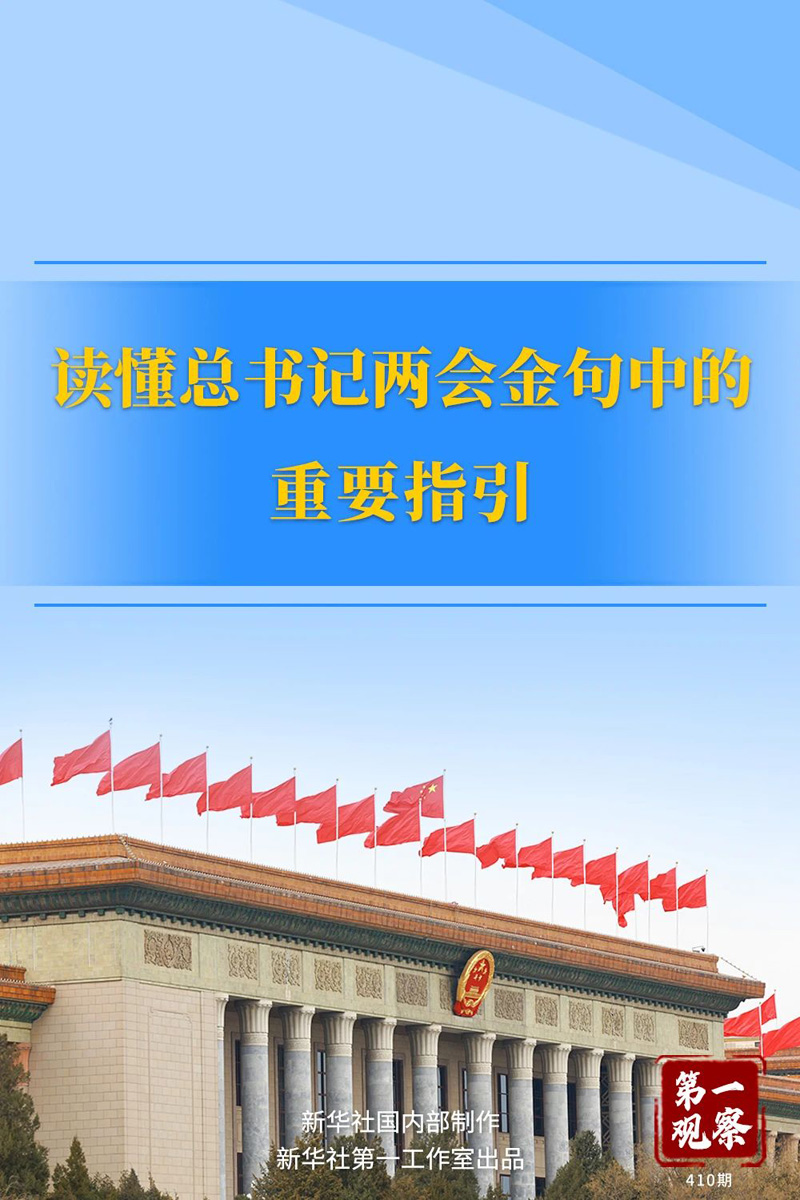 讀懂總書記兩會金句中的重要指引